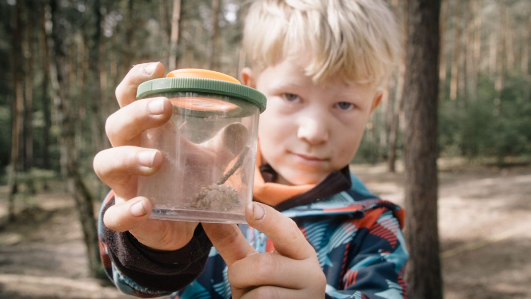 Kleiner Junge zeigt seine Fundstücke aus dem Wald