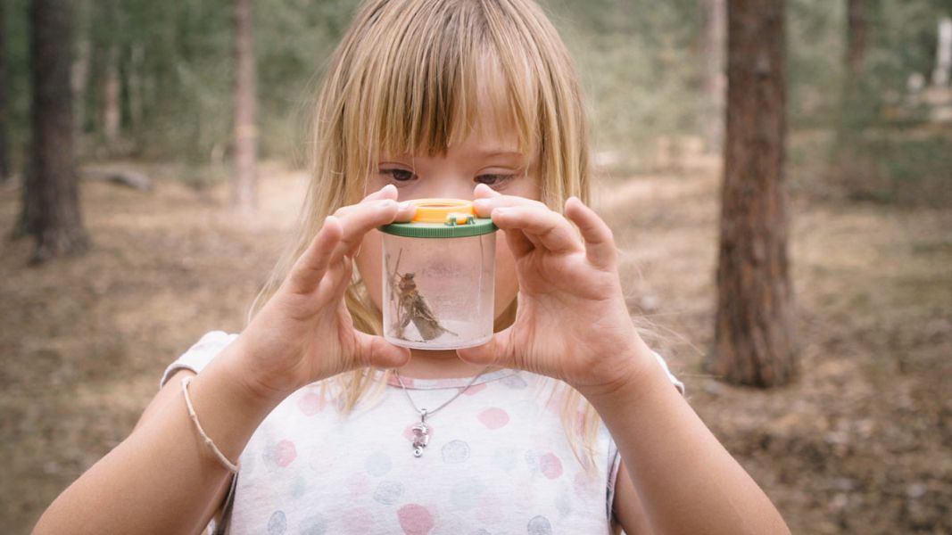 Kleines Mädchen untersucht ein Tier des Waldes