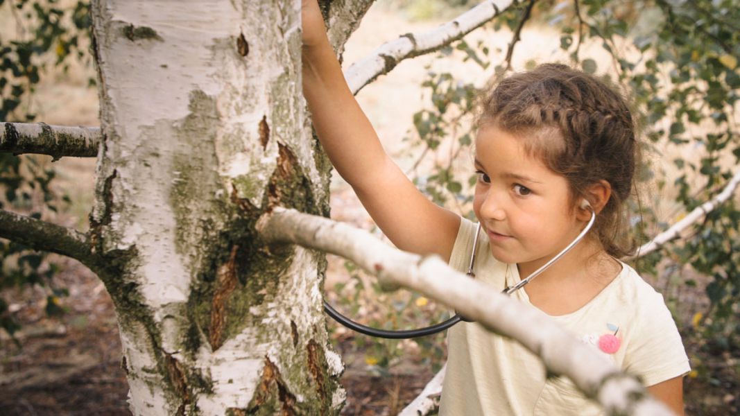 Ein Kind erforscht einen Baum